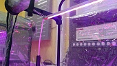 Стеллаж-парник Фито с LED подсветкой 45-4 соотношение 3:1