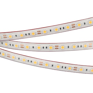 Лента RTW 2-5000PS 12V Day4000 2x (5060, 300 LED, LUX) (Arlight, 14.4 Вт/м, IP67)