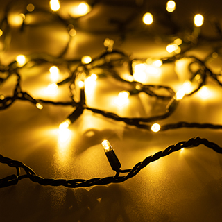 031661 Светодиодная гирлянда ARD-STRING-PRO-1000-GREEN-100LED-PULSE Warm (230V, 7W) (Ardecoled, IP65)