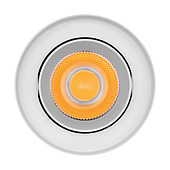 Светильник SP-FOCUS-R132-24W Day4000 (WH, 24 deg, 230V) (Arlight, IP54 Металл, 5 лет)