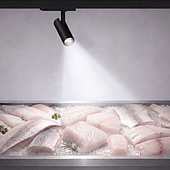 059956 Светильник LGD-GERA-4TR-R74-20W Cool SP7500-Fish (Белый, 15 deg, 230V) (Arlight, IP20 Металл, 5 лет)
