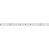 Лента RT-B60-10mm 24V Orange (14.4 W/m, IP20, 5060, 5m) (Arlight, 14.4 Вт/м, IP20)