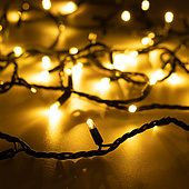 031661 Светодиодная гирлянда ARD-STRING-PRO-1000-GREEN-100LED-PULSE Warm (230V, 7W) (Ardecoled, IP65)