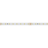 Лента RT 2-5000-50m 24V White5500 (2835, 80 LED/m, LUX) (Arlight, 6 Вт/м, IP20)