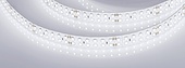 Лента RTW 2-5000SE 24V White 2x2 (3528, 1200 LED, LUX) (Arlight, 19.2 Вт/м, IP65)