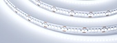 018728(2) Лента RT-A240-10mm 24V Cool 8K (19.2 W/m, IP20, 3528, 5m) (Arlight, 19.2 Вт/м, IP20)