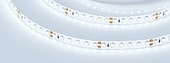 Лента RTW 2-5000SE 24V Cool 2x (3528, 600 LED, LUX) (Arlight, 9.6 Вт/м, IP65)