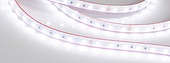 Лента RTW 2-5000PS 24V White6000 2x (5060, 300 LED, LUX) (Arlight, 14.4 Вт/м, IP67)