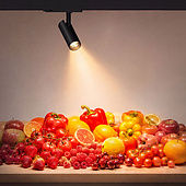 060095 Светильник LGD-GERA-4TR-R74-20W Warm SP3000-Fruit (Белый, 15 deg, 230V) (Arlight, IP20 Металл, 5 лет)