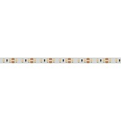 Лента RT 2-5000 12V White6000 2x (3528, 600 LED, LUX) (Arlight, 9.6 Вт/м, IP20)
