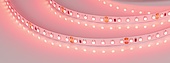 Лента RT 2-5000 24V Red 2х (3528, 600 LED, LUX) (Arlight, 9.6 Вт/м, IP20)