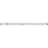 Лента RT-50000 48V White5500 (3528, 78 LED/m, 50m) (Arlight, 4 Вт/м, IP20)