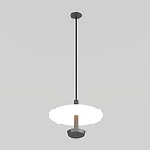 Светильник SP-CAMPANA-HANG-D300-9W Warm3000 (BK, 130 deg, 230V) (Arlight, IP20 Металл, 5 лет)
