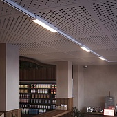 Светильник LGD-LUNGO-4TR-L600-20W-30W Day4000 (Белый, 30 deg, 230V) (Arlight, IP20 Металл, 5 лет)