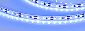 Лента RT-A120-8mm 12V Blue (9.6 W/m, IP20, 2835, 5m) (Arlight, 9.6 Вт/м, IP20)