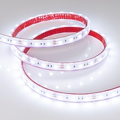 Лента RTW 2-5000PS 12V Cool 8K 2x (5060, 300 LED, LUX) (Arlight, 14.4 Вт/м, IP67)