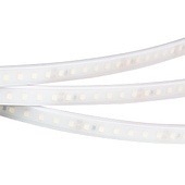 Лента RTW 2-5000PW 24V White6000 2x (3528, 600 LED, LUX) (Arlight, 9.6 Вт/м, IP66)
