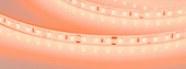 Лента RT-A120-8mm 12V Orange (9.6 W/m, IP20, 2835, 5m) (Arlight, -)
