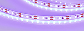 012812(2) Лента RT-A120-8mm 12V UV400 (9.6 W/m, IP20, 2835, 5m) (Arlight, Открытый)