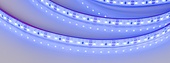 Лента RTW 2-5000PGS 12V Blue 2x (3528, 600 LED) (Arlight, 9.6 Вт/м, IP67)