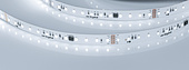 Лента DMX-A96-12mm 24V White6000-PX12 (14 W/m, IP20, 5m) (Arlight, -)