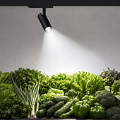 059982 Светильник LGD-GERA-4TR-R74-20W Day SP5000-Veg (Белый, 15 deg, 230V) (Arlight, IP20 Металл, 5 лет)