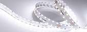 Лента RT 2-4700 24V White6000 20mm (2835, 140 LED/m, LUX) (Arlight, 21.6 Вт/м, IP20)