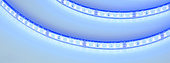 033787 Лента герметичная RTW-PFS-A120-11mm 24V Blue (9.6 W/m, IP68, 2835, 5m) (Arlight, -)