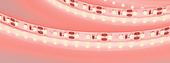 Лента RT-A120-8mm 12V Red (9.6 W/m, IP20, 2835, 5m) (Arlight, 9.6 Вт/м, IP20)