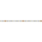 Лента MICROLED-5000L 24V Cool 8K 4mm (2216, 120 LED/m, LUX) (Arlight, 5.4 Вт/м, IP20)
