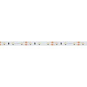Лента RT 2-5000 12V White6000 (3528, 300 LED, LUX) (Arlight, 4.8 Вт/м, IP20)