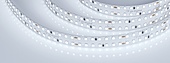 Лента S2-2500 24V White 6000K 15mm (2835, 280 LED/m, LUX) (Arlight, 20 Вт/м, IP20)