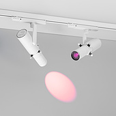 Светофильтр LGD-ARTIFACT-COLORFUL-FRAME-R55 (WH-PN) (Arlight, Металл)