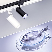 Светильник LGD-ZEUS-4TR-R100-30W Cool SP7500-Fish (WH, 20-60 deg, 230V) (Arlight, IP20 Металл, 3 года)