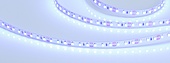 Лента RT 2-5000 12V Blue 2x (3528, 600 LED, LUX) (Arlight, 9.6 Вт/м, IP20)