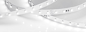 Лента RT-50000 48V White5500 (3528, 78 LED/m, 50m) (Arlight, 4 Вт/м, IP20)