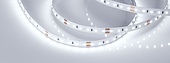 024424 Лента MICROLED-5000HP 24V White6000 8mm (2216, 120 LED/m, LUX) (Arlight, 14 Вт/м, IP20)