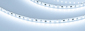040605 Лента IC-A120-8mm 24V Cool 8K (9.6 W/m, IP20, 2835, 10m) (Arlight, 9.6 Вт/м, IP20)