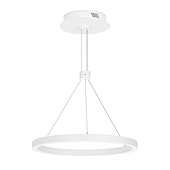 Светильник SP-CONGO-CAN-1-R400-24W Day4000 (WH, 120 deg, 230V) (Arlight, IP20 Металл, 5 лет)