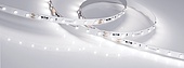 Лента RT-20000 24V White6000 (3528, 60 LED/m, 20m) (Arlight, 4.8 Вт/м, IP20)