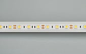 Лента RT2-5050-60-12V White (300 LED) (NormaLED, 14.4 Вт/м, IP20)